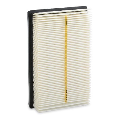 Luftfilter RIDEX 8A0462 8A0462 - foto 5
