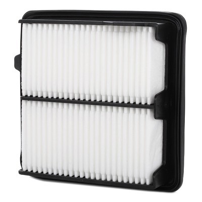 Luftfilter RIDEX 8A0289 8A0289 - foto 4