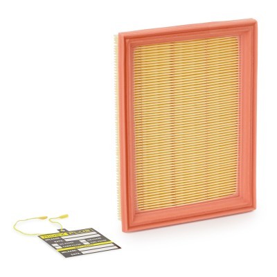 Luftfilter RIDEX 8A0043P 8A0043P - foto 2