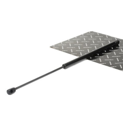 Gasfeder, Koffer-/Laderaum RIDEX 219G0683 219G0683 - foto 2