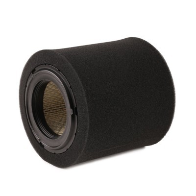 Luftfilter RIDEX 8A0575 8A0575 - foto 3