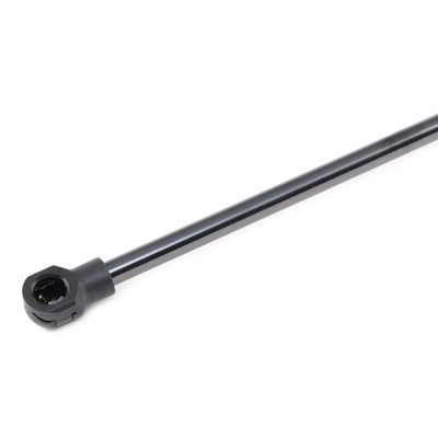 Gasfeder, Koffer-/Laderaum RIDEX 219G0750 219G0750 - foto 5