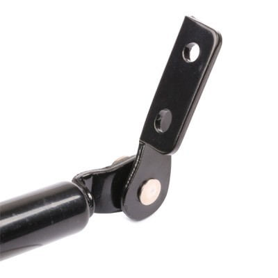 Gasfeder, Koffer-/Laderaum RIDEX 219G0559 219G0559 - foto 5