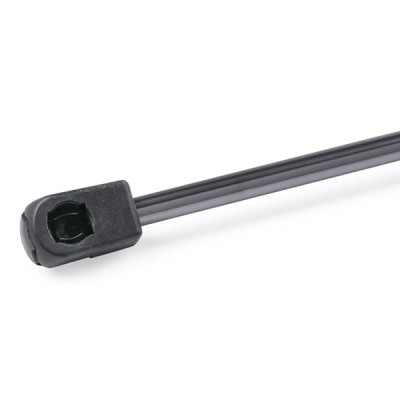 Gasfeder, Koffer-/Laderaum RIDEX 219G0925 219G0925 - foto 6