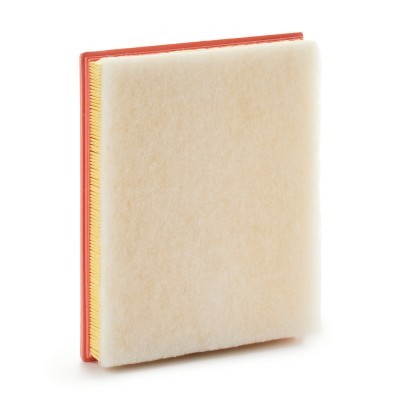 Luftfilter RIDEX 8A0982 8A0982 - foto 3