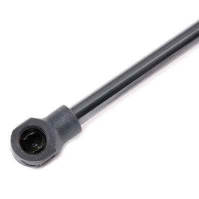 Gasfeder, Koffer-/Laderaum RIDEX 219G0911 219G0911 - foto 5