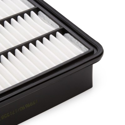 Luftfilter RIDEX 8A1650 8A1650 - foto 10