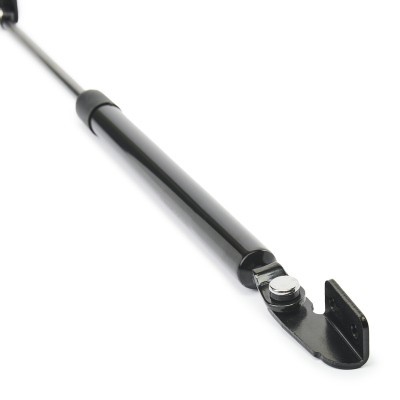 Gasfeder, Koffer-/Laderaum RIDEX 219G0613 219G0613 - foto 5