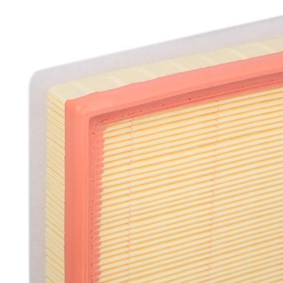 Luftfilter RIDEX 8A0611 8A0611 - foto 5