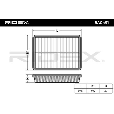 Luftfilter RIDEX 8A0491 8A0491 - foto 4