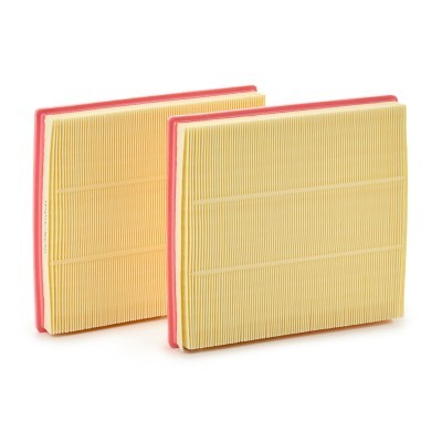 Luftfilter RIDEX 8A0624 8A0624 - foto 3