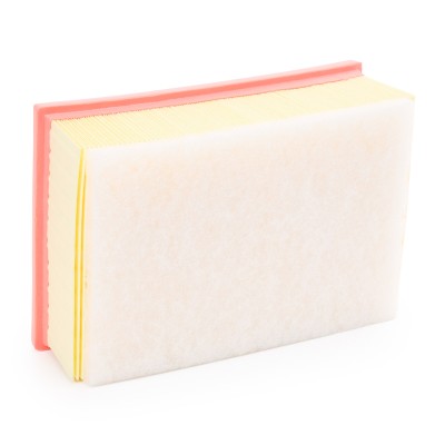 Luftfilter RIDEX 8A1305 8A1305 - foto 9