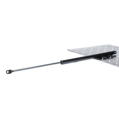 Gasfeder, Koffer-/Laderaum RIDEX 219G0985 219G0985 - foto 2