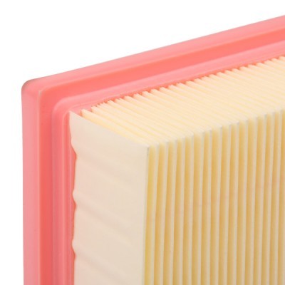 Luftfilter RIDEX 8A0669 8A0669 - foto 5