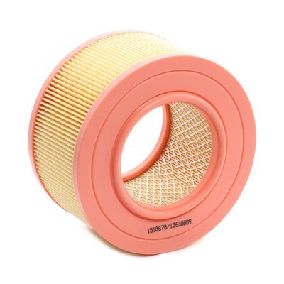 Luftfilter RIDEX 8A0542 8A0542 - foto 3