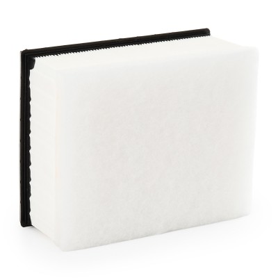 Luftfilter RIDEX 8A1615 8A1615 - foto 9