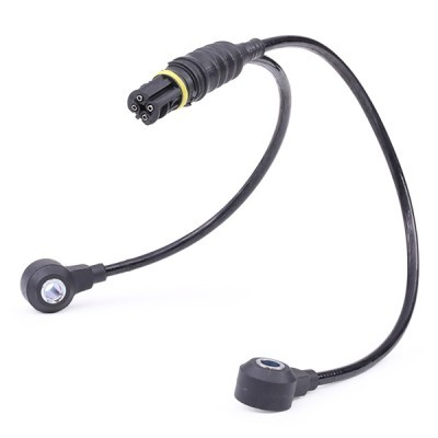 Klopfsensor RIDEX 3921K0047 3921K0047 - foto 3