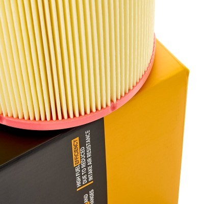 Luftfilter RIDEX 8A0584 8A0584 - foto 4