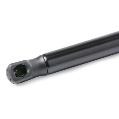 Gasfeder, Koffer-/Laderaum RIDEX 219G0791 219G0791 - foto 5