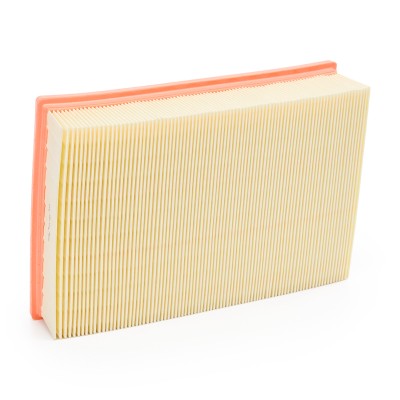 Luftfilter RIDEX 8A1018 8A1018 - foto 9