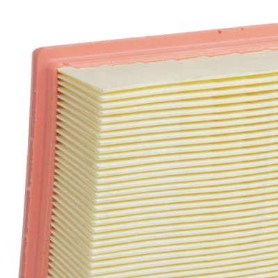 Luftfilter RIDEX 8A0866 8A0866 - foto 5