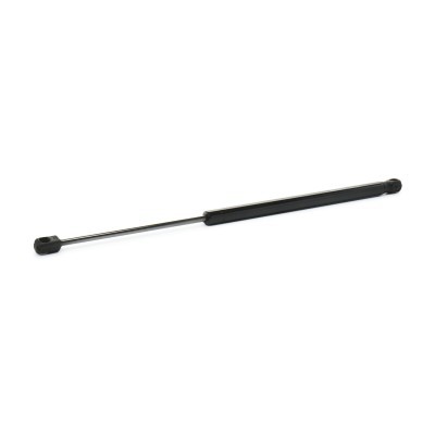 Gasfeder, Koffer-/Laderaum RIDEX 219G1289 219G1289 - foto 2