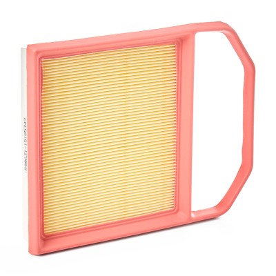Luftfilter RIDEX 8A1198 8A1198 - foto 8