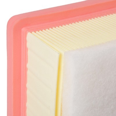 Luftfilter RIDEX 8A0644 8A0644 - foto 5