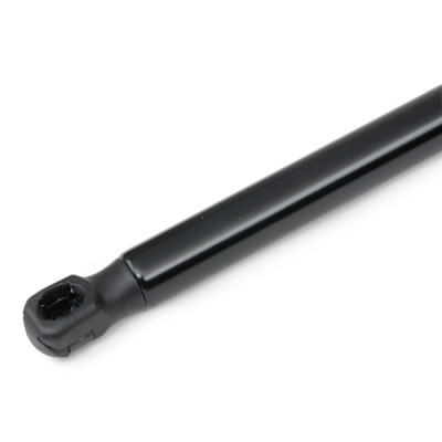 Gasfeder, Koffer-/Laderaum RIDEX 219G0553 219G0553 - foto 5