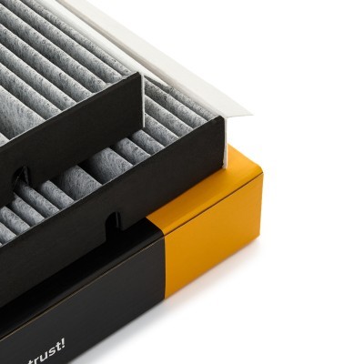 Filter, Innenraumluft RIDEX 424I0543 424I0543 - foto 4