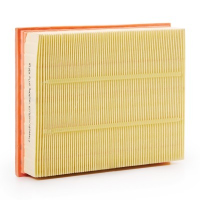 Luftfilter RIDEX 8A0679P 8A0679P - foto 4