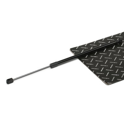 Gasfeder, Koffer-/Laderaum RIDEX 219G1013 219G1013 - foto 2