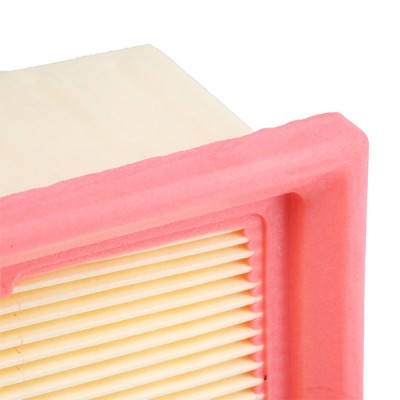 Luftfilter RIDEX 8A0311 8A0311 - foto 4