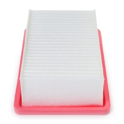 Luftfilter RIDEX 8A0734P 8A0734P - foto 5
