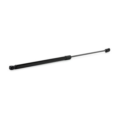 Gasfeder, Koffer-/Laderaum RIDEX 219G1550 219G1550 - foto 3