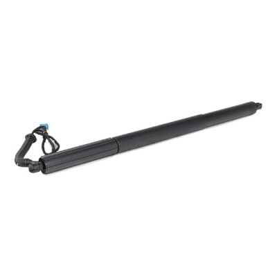 Gasfeder, Koffer-/Laderaum RIDEX 219G1033 219G1033 - foto 4