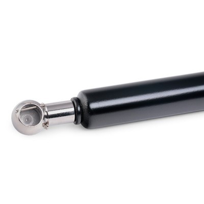 Gasfeder, Koffer-/Laderaum RIDEX 219G0301 219G0301 - foto 5