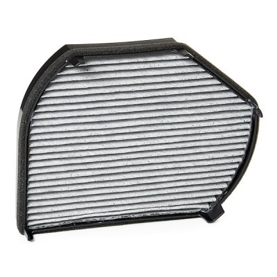 Filter, Innenraumluft RIDEX 424I0580P 424I0580P - foto 4