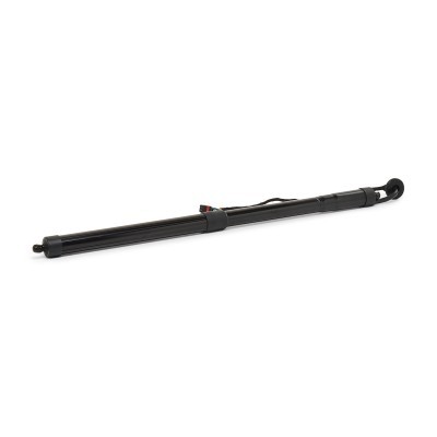 Gasfeder, Koffer-/Laderaum RIDEX 219G1726 219G1726 - foto 3