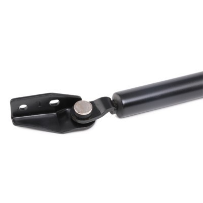 Gasfeder, Koffer-/Laderaum RIDEX 219G0325 219G0325 - foto 5