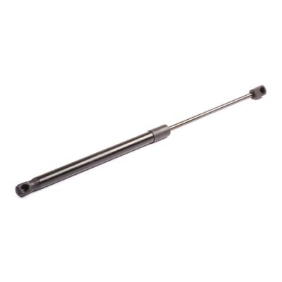 Gasfeder, Koffer-/Laderaum RIDEX 219G0420 219G0420 - foto 6