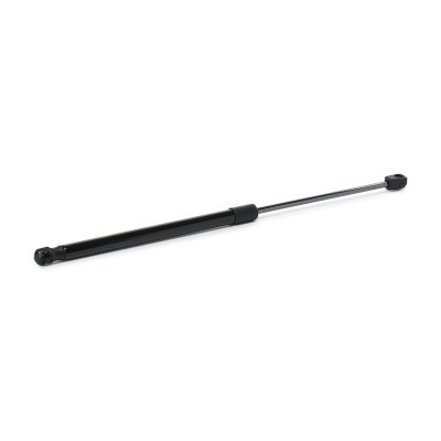 Gasfeder, Koffer-/Laderaum RIDEX 219G1440 219G1440 - foto 3