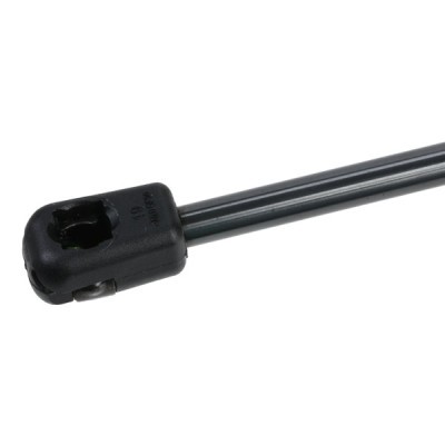 Gasfeder, Koffer-/Laderaum RIDEX 219G0929 219G0929 - foto 6