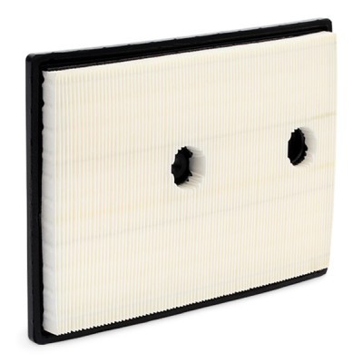 Luftfilter RIDEX 8A0321 8A0321 - foto 6