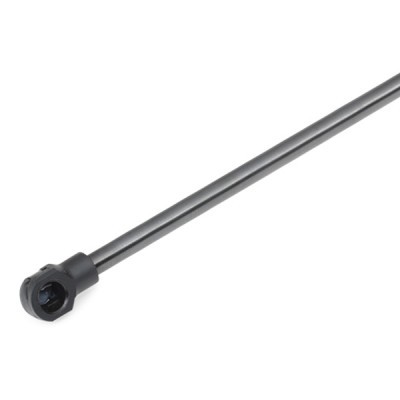 Gasfeder, Koffer-/Laderaum RIDEX 219G0009 219G0009 - foto 6
