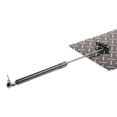 Gasfeder, Koffer-/Laderaum RIDEX 219G0559 219G0559 - foto 2