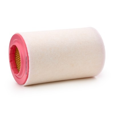 Luftfilter RIDEX 8A1641P 8A1641P - foto 3