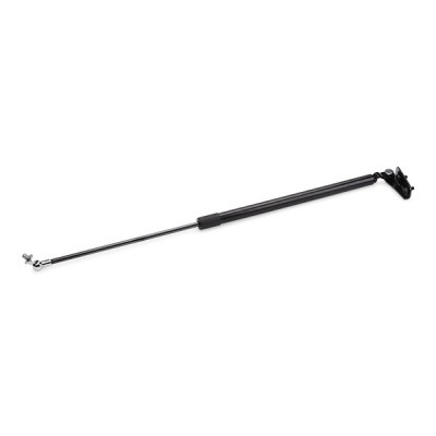 Gasfeder, Koffer-/Laderaum RIDEX 219G0513 219G0513 - foto 8