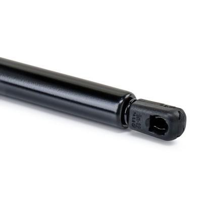 Gasfeder, Koffer-/Laderaum RIDEX 219G0560 219G0560 - foto 6