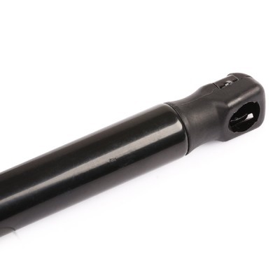 Gasfeder, Koffer-/Laderaum RIDEX 219G0241 219G0241 - foto 5